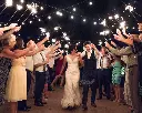 wedd.webp