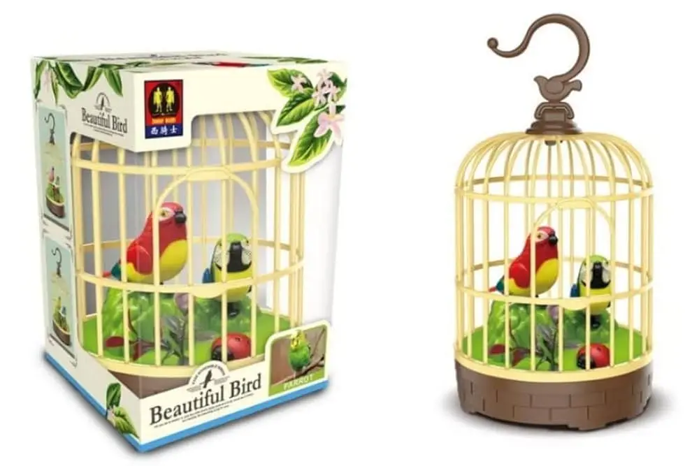 Beautiful bird small