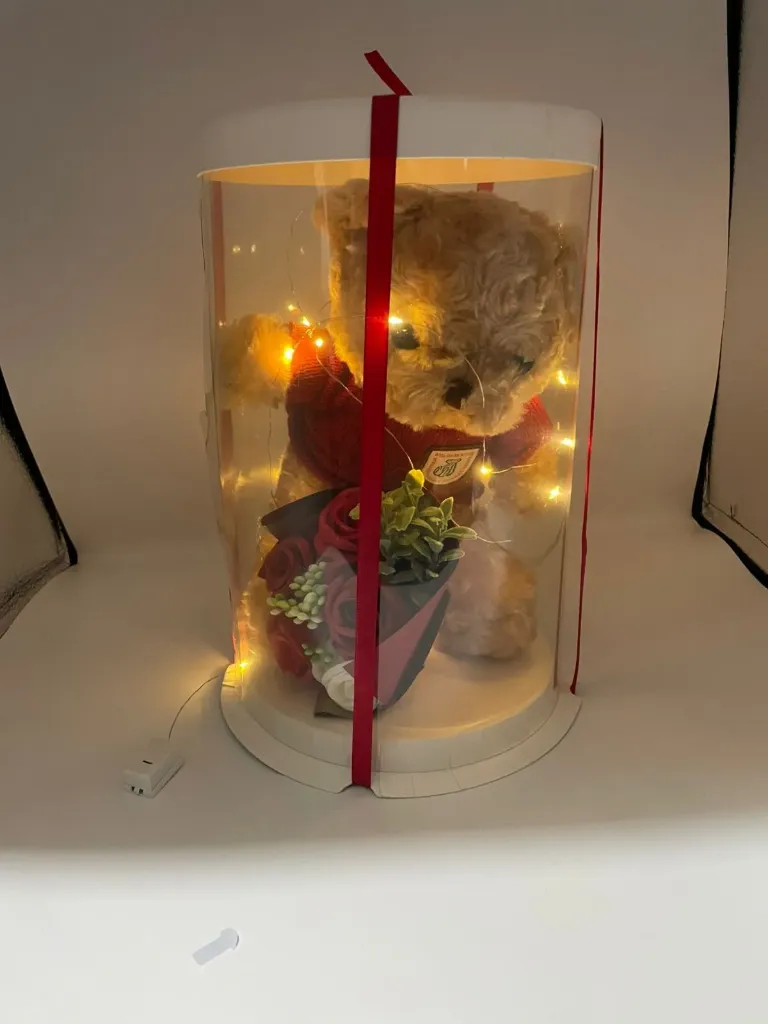 teddy bear and a bouquet of artificial roses in a transparent round box.  The set includes LED string lights for illumination.