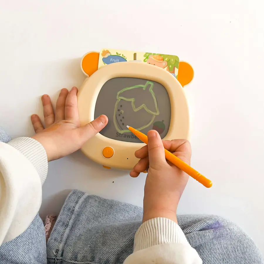 Electronic educational talking flash card reader machine for toddlers