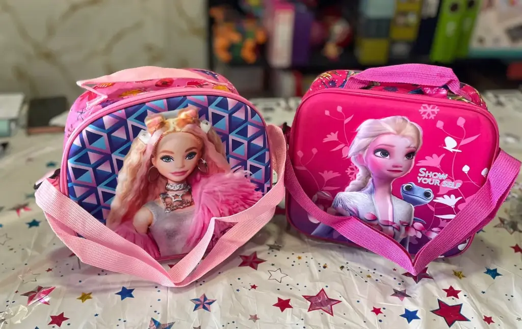 Insulated Lunch bag (frozen)