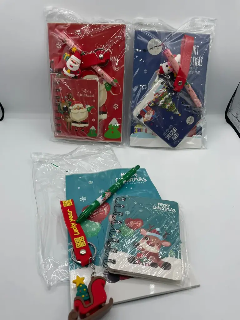 Christmas gift package,  bag, notebook, mini notebook, pen, and keychain (Green)